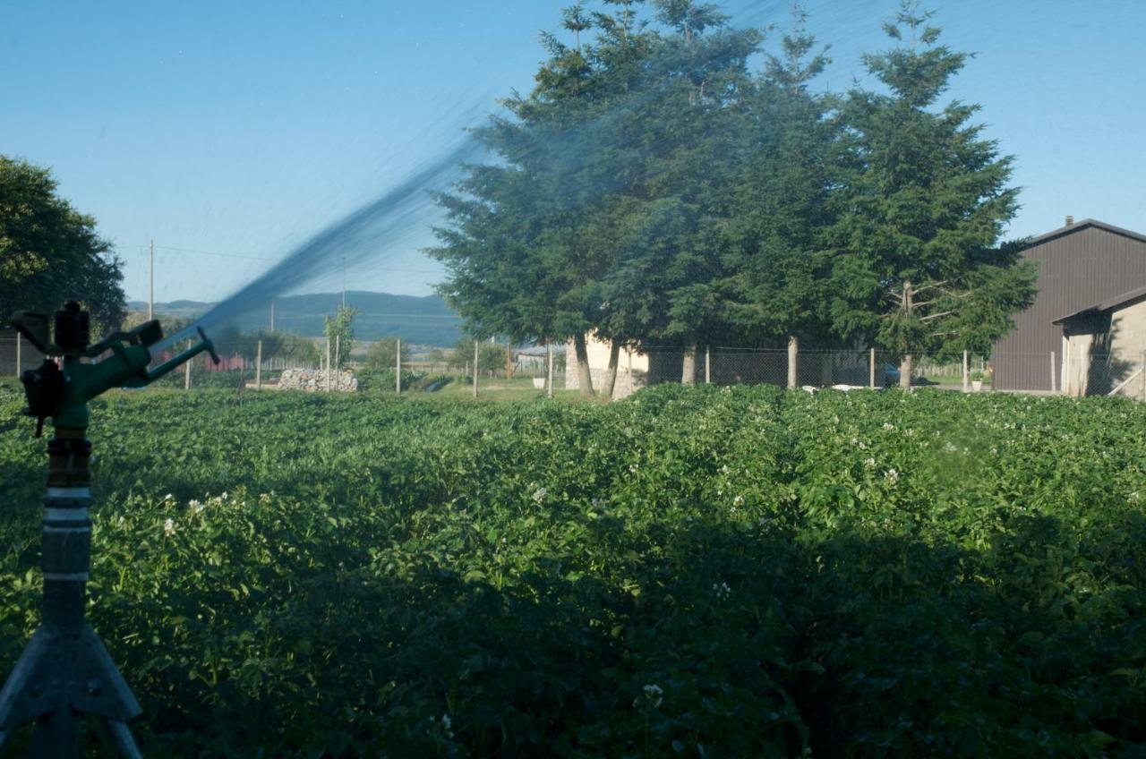 Agriturismo Fiorella กามิลยาเตลโล ซีลาโน ภายนอก รูปภาพ