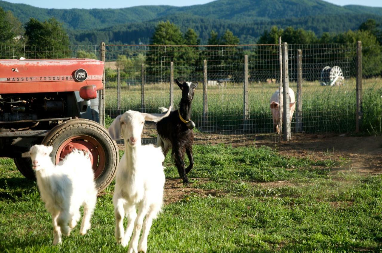 Agriturismo Fiorella กามิลยาเตลโล ซีลาโน ภายนอก รูปภาพ