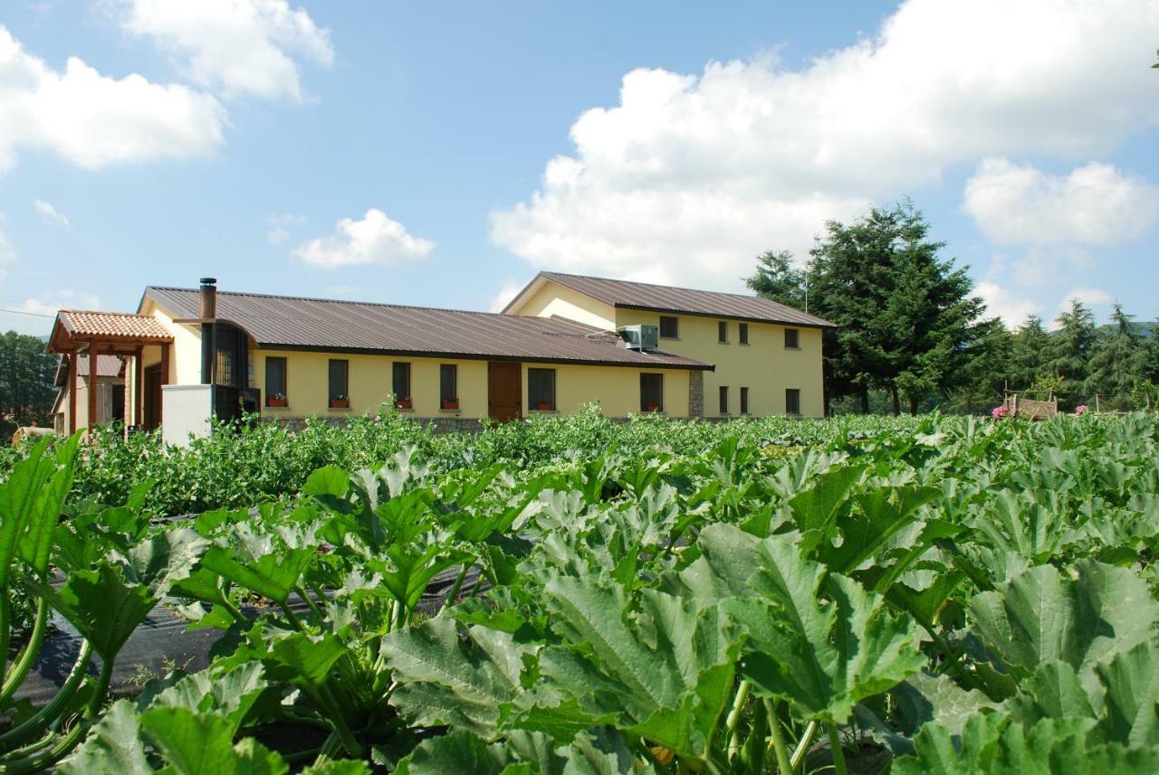 Agriturismo Fiorella กามิลยาเตลโล ซีลาโน ภายนอก รูปภาพ