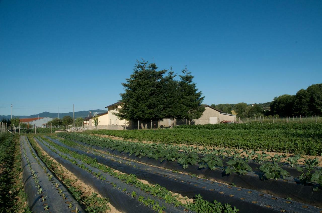 Agriturismo Fiorella กามิลยาเตลโล ซีลาโน ภายนอก รูปภาพ