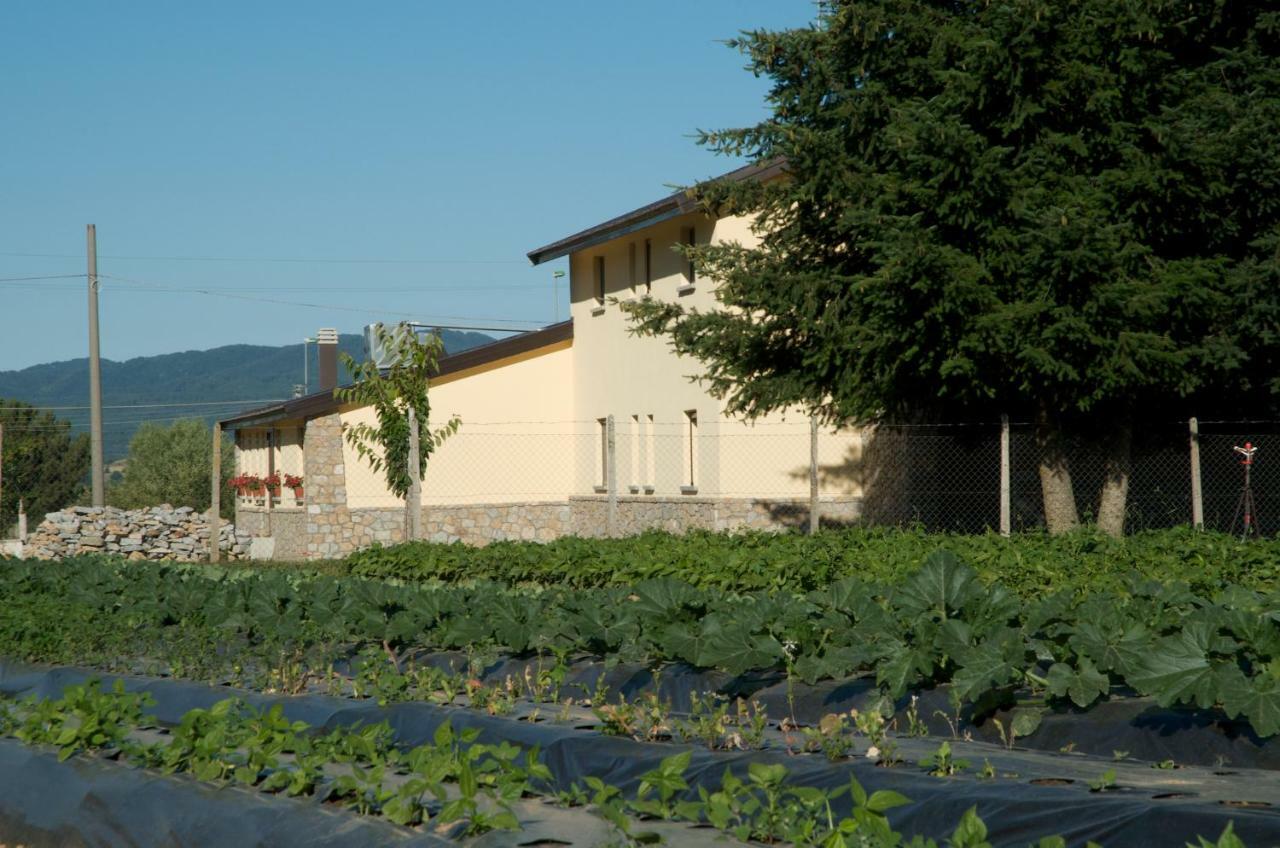 Agriturismo Fiorella กามิลยาเตลโล ซีลาโน ภายนอก รูปภาพ