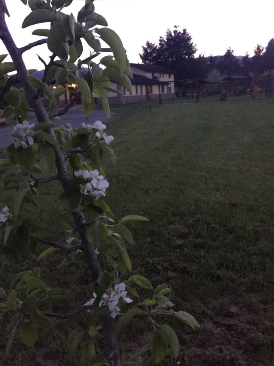 Agriturismo Fiorella กามิลยาเตลโล ซีลาโน ภายนอก รูปภาพ