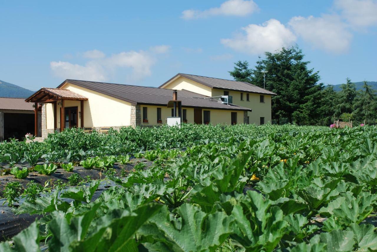Agriturismo Fiorella กามิลยาเตลโล ซีลาโน ภายนอก รูปภาพ